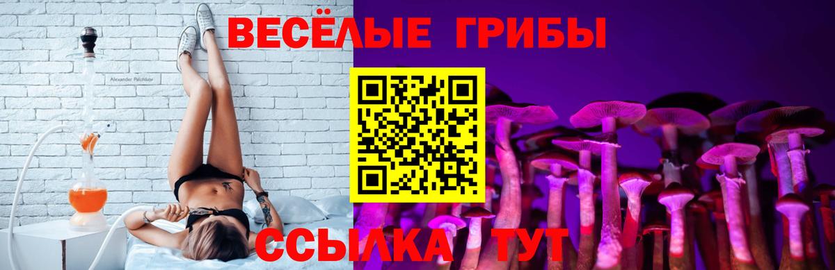 Псилоцибиновые грибы GOLDEN TEACHER Великие Луки